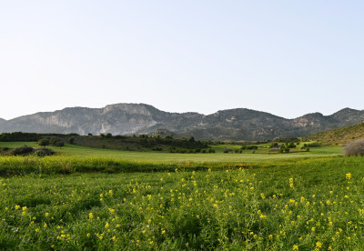 Investment Opportunity Field In The Girne Göçeri Region!