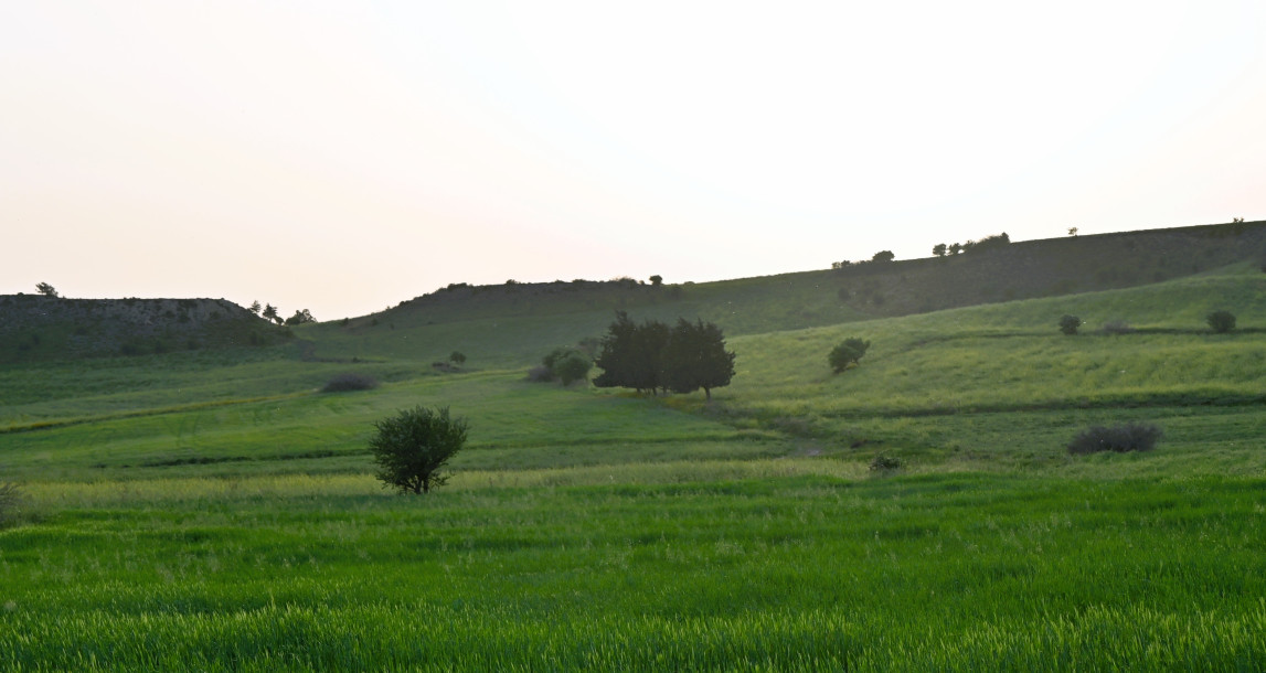 Investitionsmöglichkeiten in der Region Girne Göçeri!-1