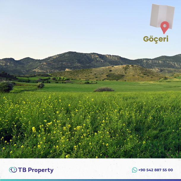 Investment Opportunity Field in the Girne Göçeri Region!-2