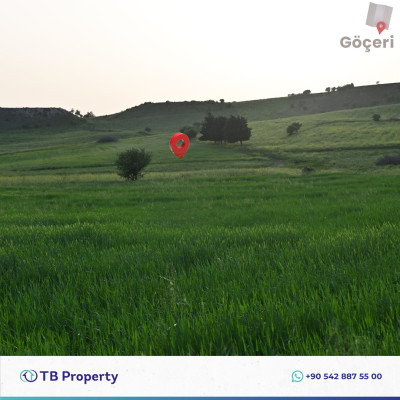 Investment Opportunity Field in the Girne Göçeri Region!