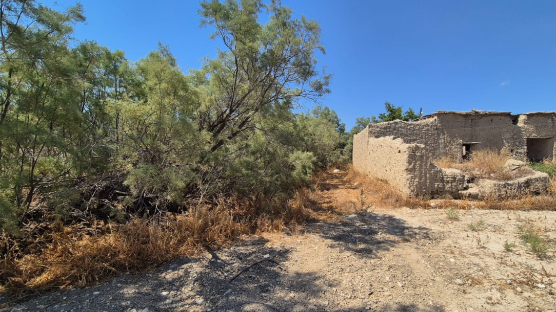 Field for Sale with Turkish Title in Kilitkaya Region!-2