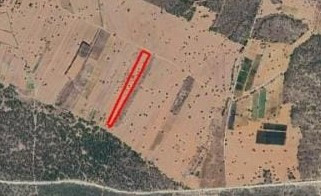 15 Acres of Field with Turkish Title Deed for Sale in the Akdeniz Region!