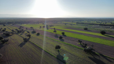 15 Acres of Field with Turkish Title Deed for Sale in the Akdeniz Region!