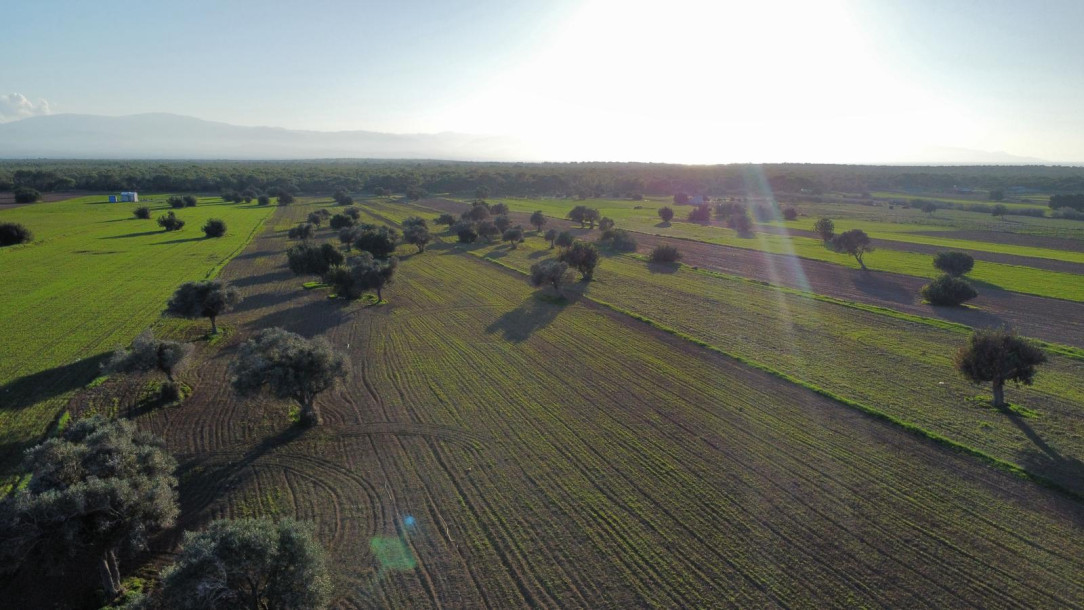 15 Acres of Field with Turkish Title Deed for Sale in the Akdeniz Region!-2