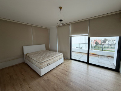 Yenisehir 2+1 Penthouse